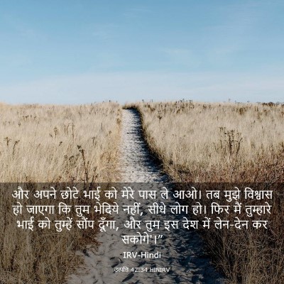 Picture 03 - उत्पत्ति 42:34 HINIRV - और अपने छोटे भाई को - Bible Verse Picture
