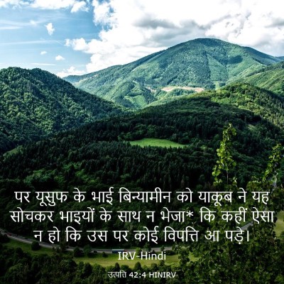 Picture 03 - उत्पत्ति 42:4 HINIRV - पर यूसुफ के भाई - Bible Verse Picture