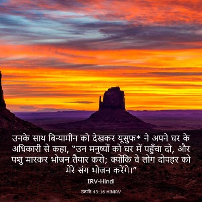 Picture 03 - उत्पत्ति 43:16 HINIRV - उनके साथ - Bible Verse Picture