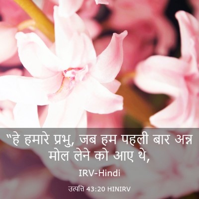 Picture 03 - उत्पत्ति 43:20 HINIRV - “हे हमारे प्रभु, जब - Bible Verse Picture