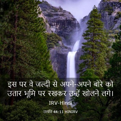 Picture 03 - उत्पत्ति 44:11 HINIRV - इस पर वे जल्दी से - Bible Verse Picture