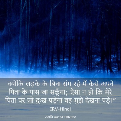Picture 03 - उत्पत्ति 44:34 HINIRV - क्योंकि लड़के के - Bible Verse Picture