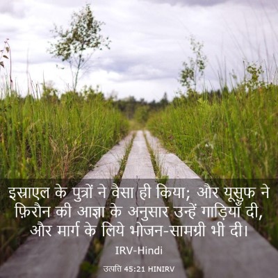Picture 03 - उत्पत्ति 45:21 HINIRV - इस्राएल के - Bible Verse Picture
