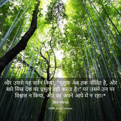 Picture 03 - उत्पत्ति 45:26 HINIRV - और उससे यह वर्णन - Bible Verse Picture