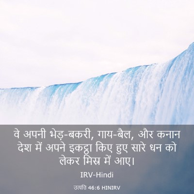 Picture 03 - उत्पत्ति 46:6 HINIRV - वे अपनी भेड़-बकरी, - Bible Verse Picture
