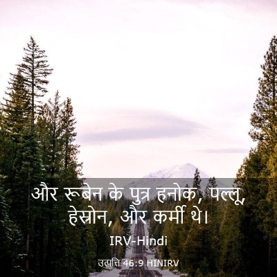 Picture 03 - उत्पत्ति 46:9 HINIRV - और रूबेन के पुत्र - Bible Verse Picture