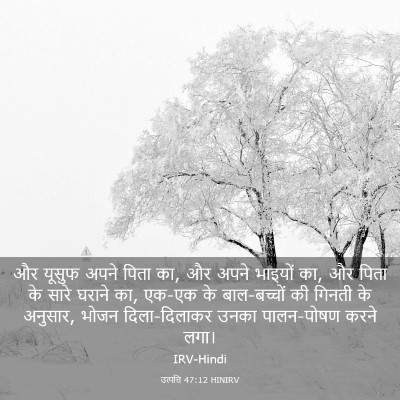 Picture 03 - उत्पत्ति 47:12 HINIRV - और यूसुफ अपने पिता - Bible Verse Picture