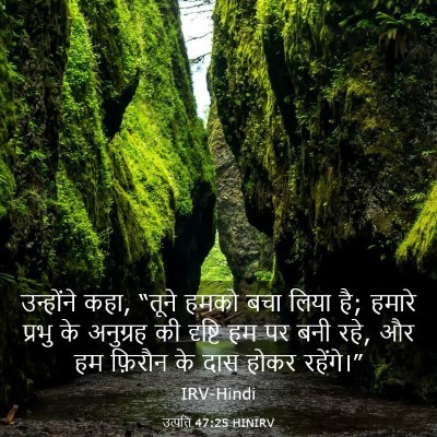 Picture 03 - उत्पत्ति 47:25 HINIRV - उन्होंने कहा, - Bible Verse Picture