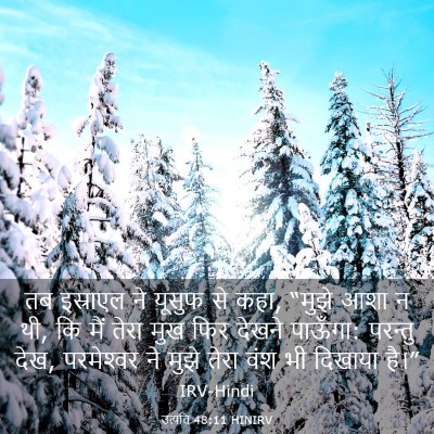 Picture 03 - उत्पत्ति 48:11 HINIRV - तब इस्राएल ने - Bible Verse Picture