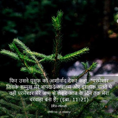 Picture 03 - उत्पत्ति 48:15 HINIRV - फिर उसने यूसुफ को - Bible Verse Picture