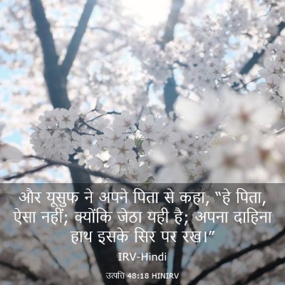 Picture 03 - उत्पत्ति 48:18 HINIRV - और यूसुफ ने अपने - Bible Verse Picture