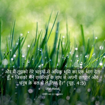 Picture 03 - उत्पत्ति 48:22 HINIRV - और मैं तुझको तेरे - Bible Verse Picture
