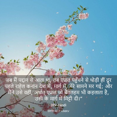Picture 03 - उत्पत्ति 48:7 HINIRV - जब मैं पद्दान से - Bible Verse Picture