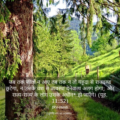 Picture 03 - उत्पत्ति 49:10 HINIRV - जब तक शीलो न आए तब - Bible Verse Picture