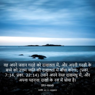 Picture 03 - उत्पत्ति 49:11 HINIRV - वह अपने जवान गदहे - Bible Verse Picture
