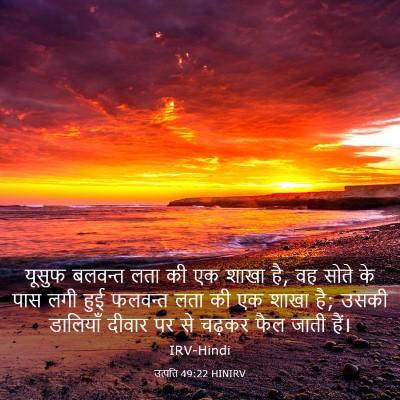 Picture 03 - उत्पत्ति 49:22 HINIRV - यूसुफ बलवन्त लता - Bible Verse Picture