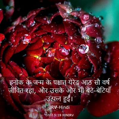 Picture 03 - उत्पत्ति 5:19 HINIRV - हनोक के जन्म के - Bible Verse Picture