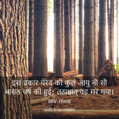 Picture 03 - उत्पत्ति 5:20 HINIRV - इस प्रकार येरेद की - Bible Verse Picture