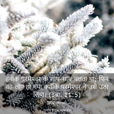 Picture 03 - उत्पत्ति 5:24 HINIRV - हनोक परमेश्‍वर के - Bible Verse Picture