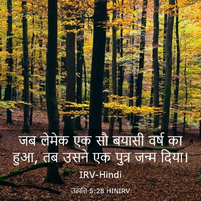 Picture 03 - उत्पत्ति 5:28 HINIRV - जब लेमेक एक सौ - Bible Verse Picture