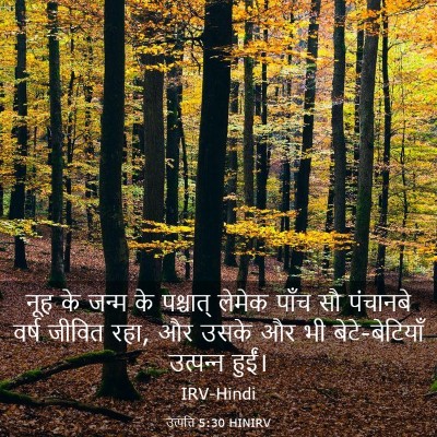 Picture 03 - उत्पत्ति 5:30 HINIRV - नूह के जन्म के - Bible Verse Picture