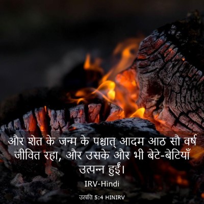 Picture 03 - उत्पत्ति 5:4 HINIRV - और शेत के जन्म के - Bible Verse Picture