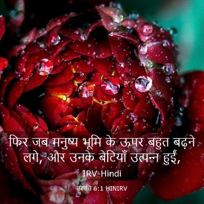 Picture 03 - उत्पत्ति 6:1 HINIRV - फिर जब मनुष्य भूमि - Bible Verse Picture