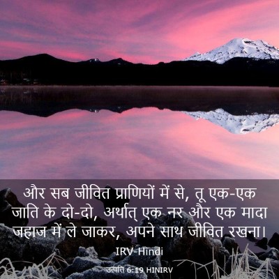 Picture 03 - उत्पत्ति 6:19 HINIRV - और सब जीवित - Bible Verse Picture
