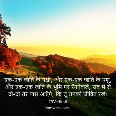 Picture 03 - उत्पत्ति 6:20 HINIRV - एक-एक जाति के - Bible Verse Picture
