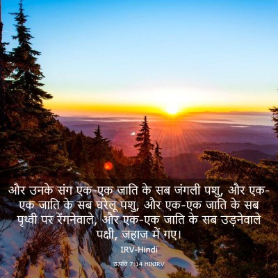 Picture 03 - उत्पत्ति 7:14 HINIRV - और उनके संग एक-एक - Bible Verse Picture
