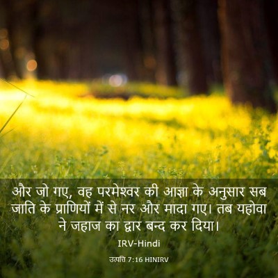Picture 03 - उत्पत्ति 7:16 HINIRV - और जो गए, वह - Bible Verse Picture