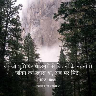 Picture 03 - उत्पत्ति 7:22 HINIRV - जो-जो भूमि पर थे - Bible Verse Picture
