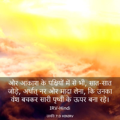 Picture 03 - उत्पत्ति 7:3 HINIRV - और आकाश के - Bible Verse Picture