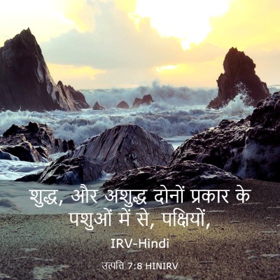 Picture 03 - उत्पत्ति 7:8 HINIRV - शुद्ध, और अशुद्ध - Bible Verse Picture