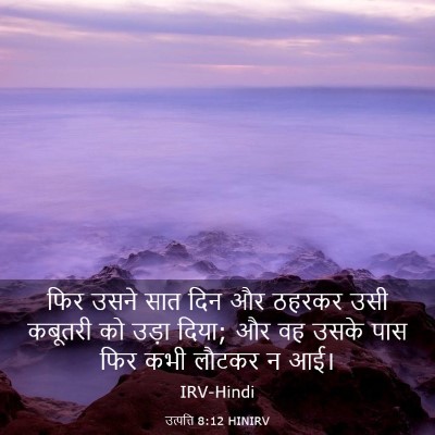 Picture 03 - उत्पत्ति 8:12 HINIRV - फिर उसने सात दिन और - Bible Verse Picture