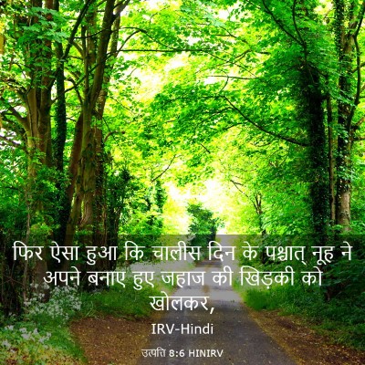 Picture 03 - उत्पत्ति 8:6 HINIRV - फिर ऐसा हुआ कि - Bible Verse Picture
