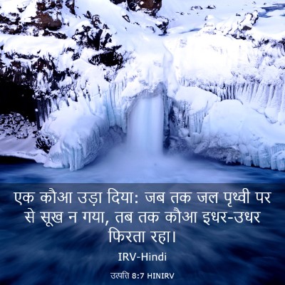Picture 03 - उत्पत्ति 8:7 HINIRV - एक कौआ उड़ा दिया: - Bible Verse Picture
