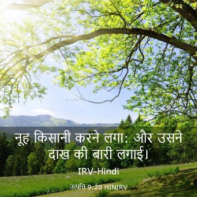 Picture 03 - उत्पत्ति 9:20 HINIRV - नूह किसानी करने - Bible Verse Picture