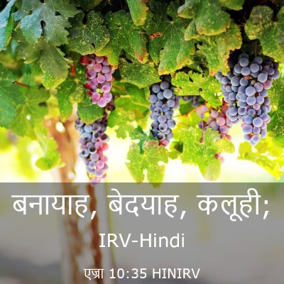 Picture 03 - एज्रा 10:35 HINIRV - बनायाह, बेदयाह, - Bible Verse Picture