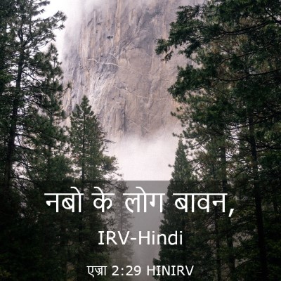 Picture 03 - एज्रा 2:29 HINIRV - नबो के लोग - Bible Verse Picture
