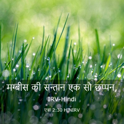 Picture 03 - एज्रा 2:30 HINIRV - मग्बीस की सन्तान - Bible Verse Picture