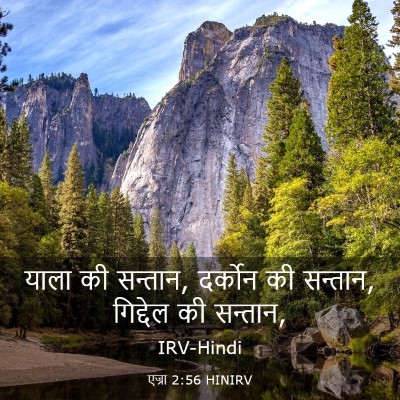 Picture 03 - एज्रा 2:56 HINIRV - याला की सन्तान, - Bible Verse Picture