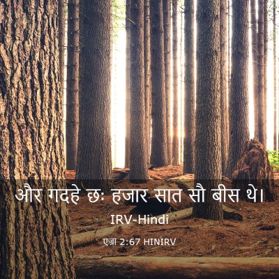 Picture 03 - एज्रा 2:67 HINIRV - और गदहे छः हजार सात - Bible Verse Picture