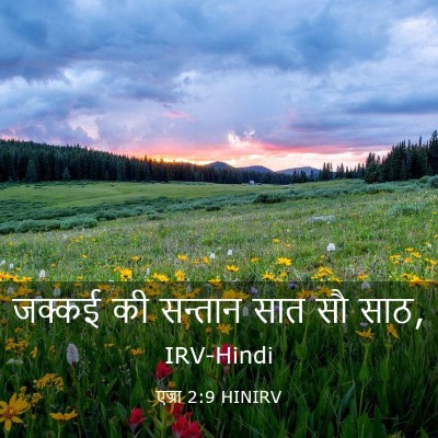 Picture 03 - एज्रा 2:9 HINIRV - जक्कई की सन्तान - Bible Verse Picture