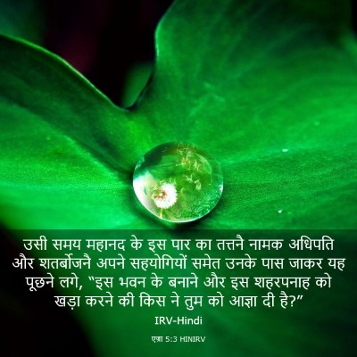 Picture 03 - एज्रा 5:3 HINIRV - उसी समय महानद के इस - Bible Verse Picture