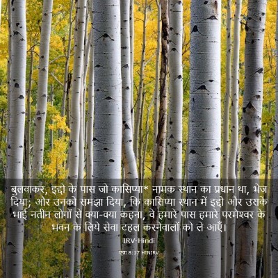 Picture 03 - एज्रा 8:17 HINIRV - बुलवाकर, इद्दो के - Bible Verse Picture