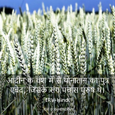 Picture 03 - एज्रा 8:6 HINIRV - आदीन के वंश में से - Bible Verse Picture