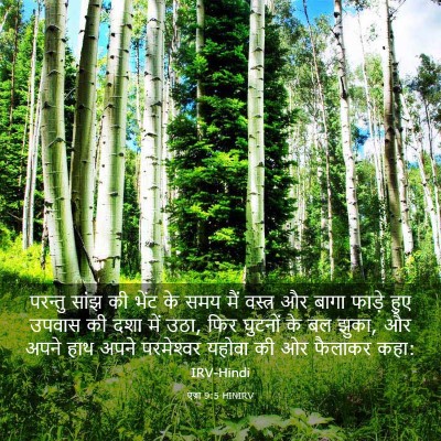 Picture 03 - एज्रा 9:5 HINIRV - परन्तु सांझ की - Bible Verse Picture