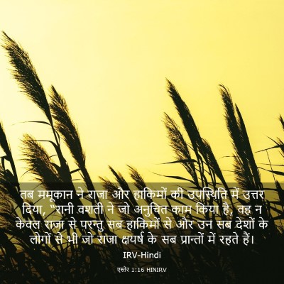 Picture 03 - एस्तेर 1:16 HINIRV - तब ममूकान ने राजा - Bible Verse Picture