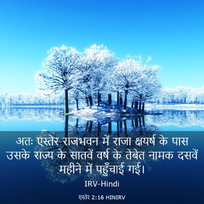 Picture 03 - एस्तेर 2:16 HINIRV - अतः एस्तेर राजभवन - Bible Verse Picture